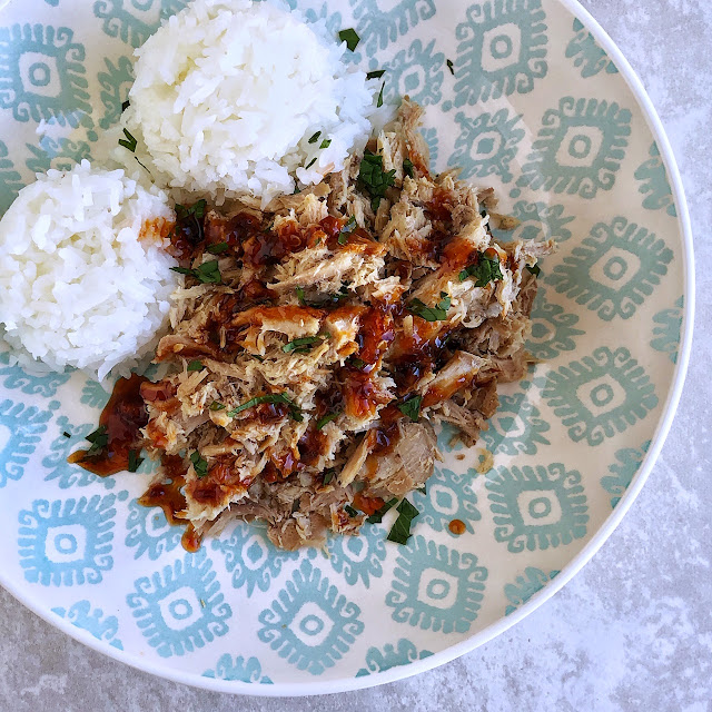 Hawaiian kalua pork with sauce and rice