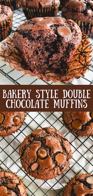 chocolate muffins with dark chocolate chips