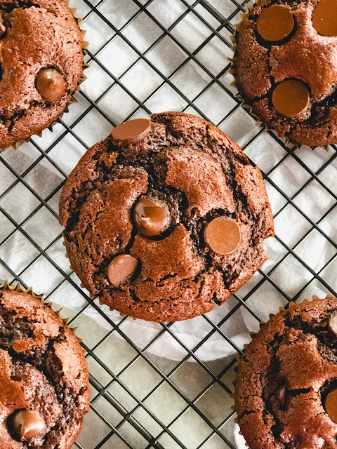 chocolate muffins with chocolate chips
