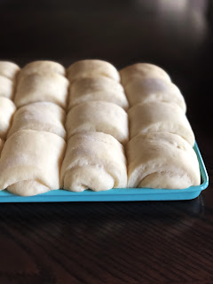 risen rolls on an aqua baking sheet