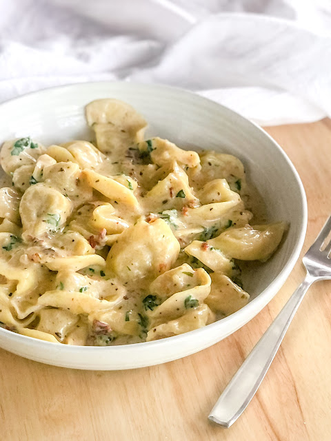 tortellini smothered in creamy alfredo on a white plate