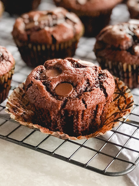 chocolate muffins with chocolate chips