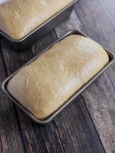 bread dough in bread pans