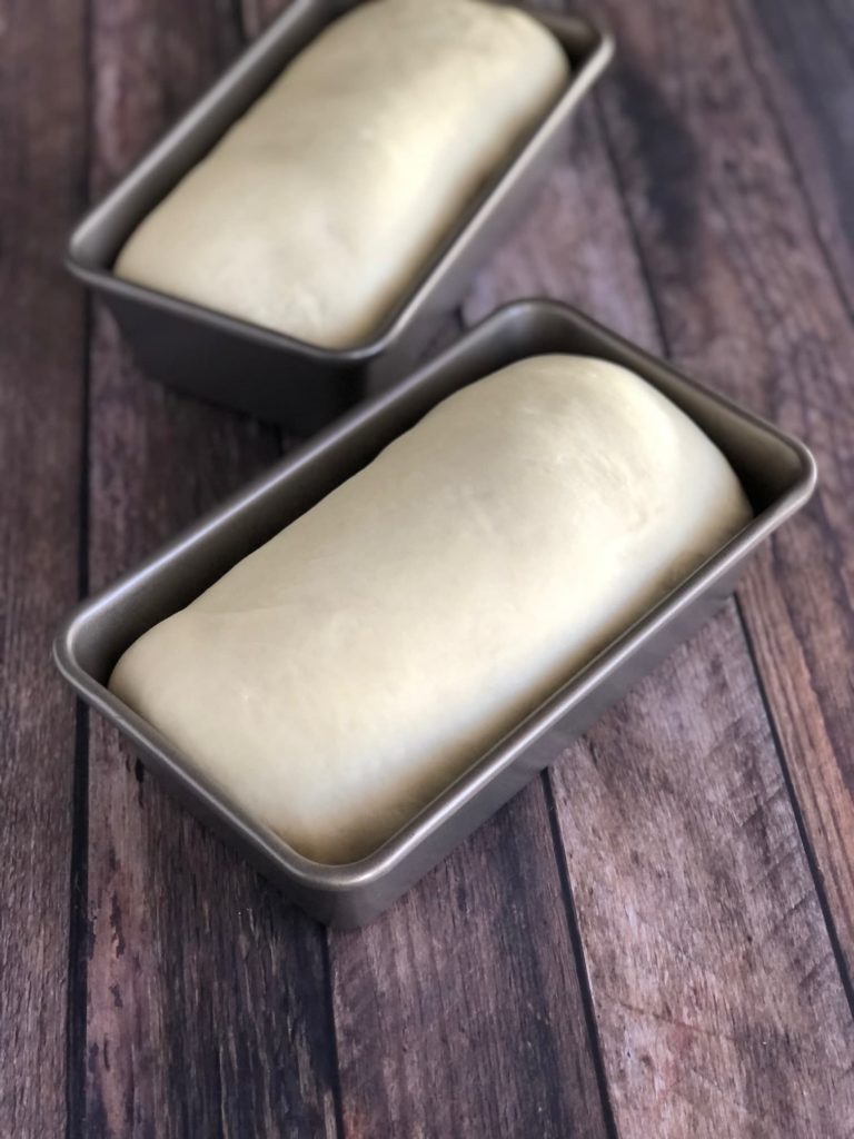 to pans of bread dough
