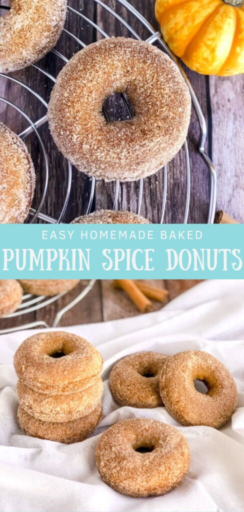 pumpkin spice donuts pin