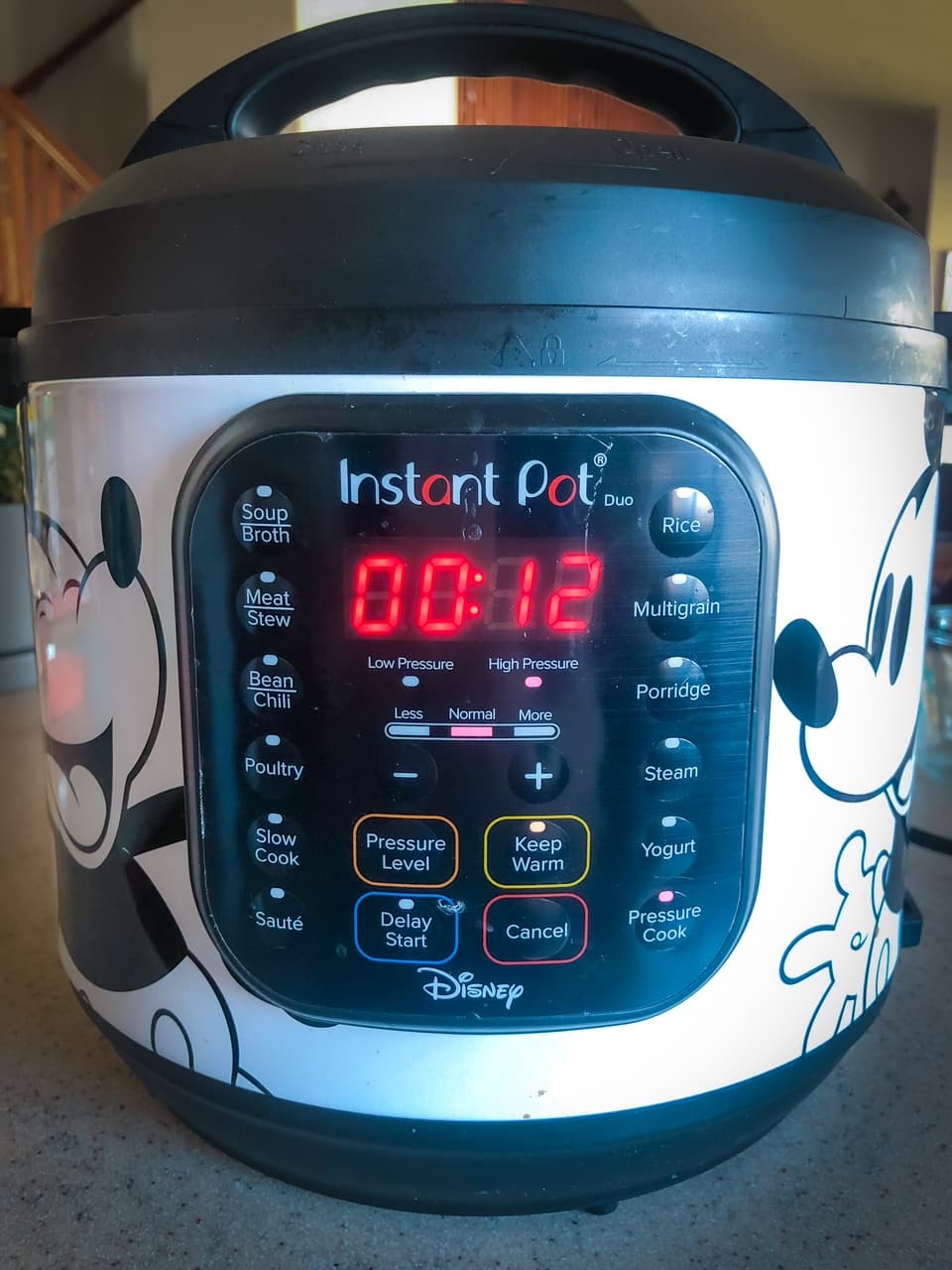 instant pot with 12 minutes