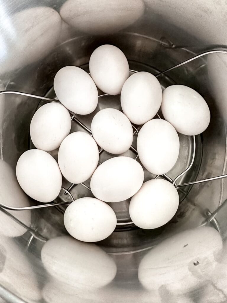 eggs on a rack in the instant pot
