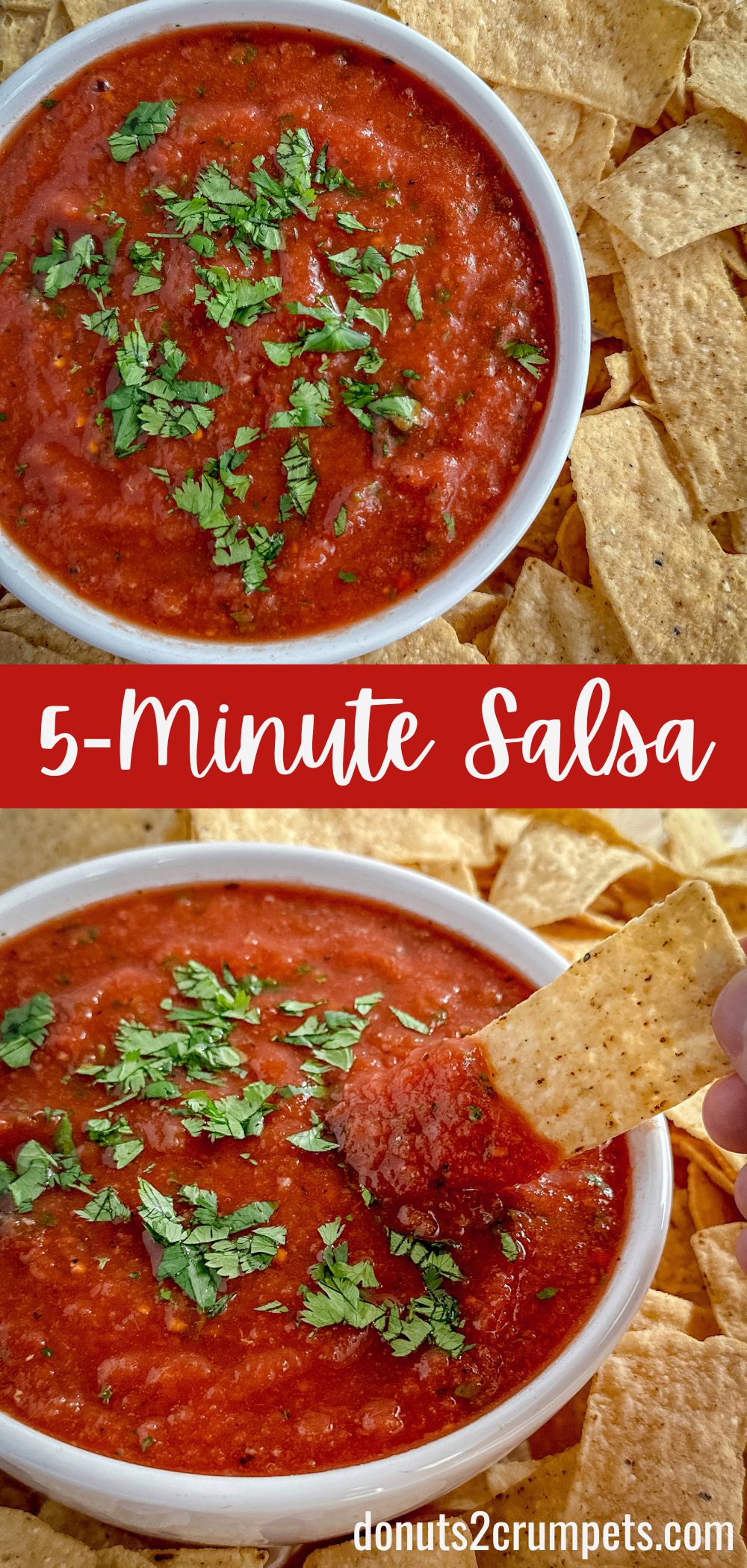 5-minute restaurant style blender salsa