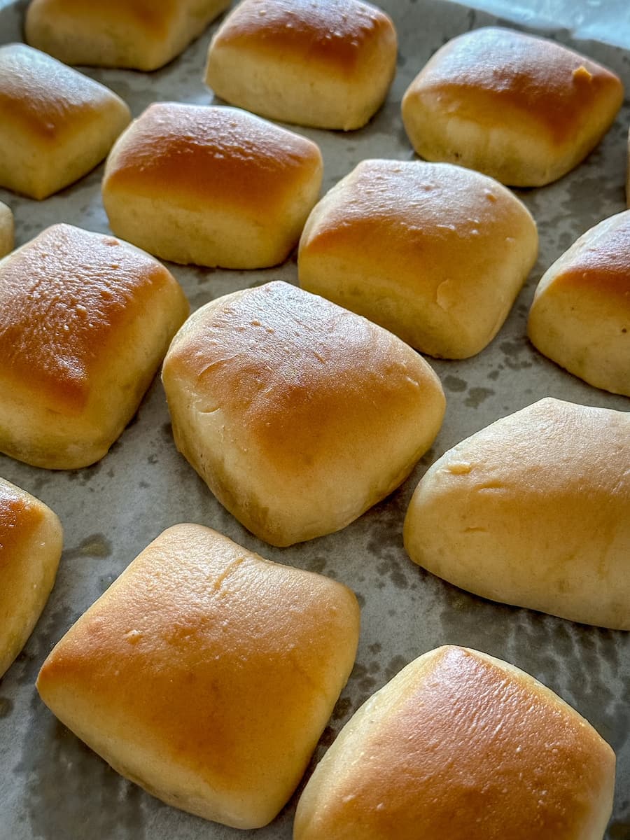 texas roadhouse rolls out of the oven