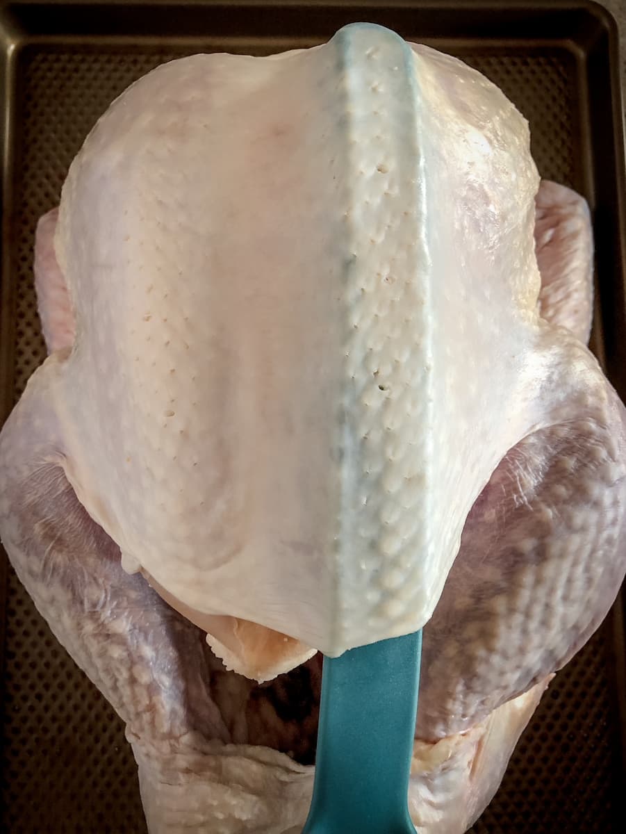 loosening the turkey breast skin