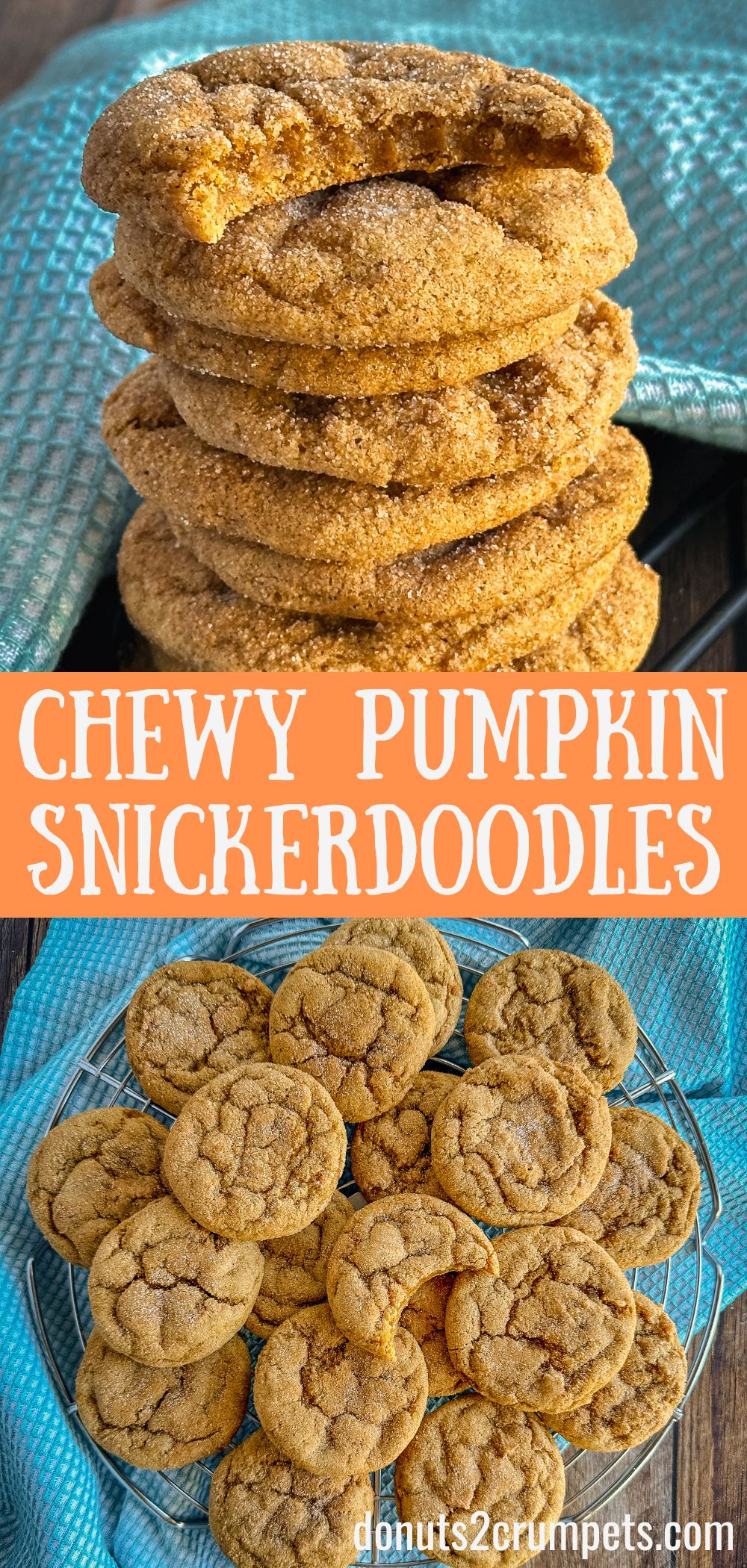 chewy pumpkin snickerdoodles