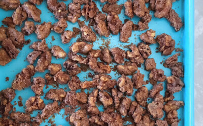 Candied Pecans or Walnuts