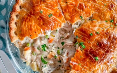 The Best Easy Chicken Pot Pie (or Turkey!)